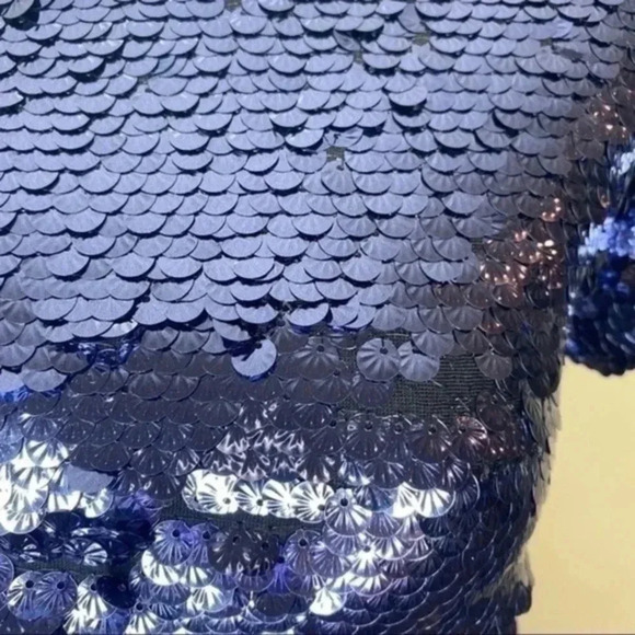 Anthropologie leifsdottir blue short sleeve sequin top XS - Picture 5 of 7